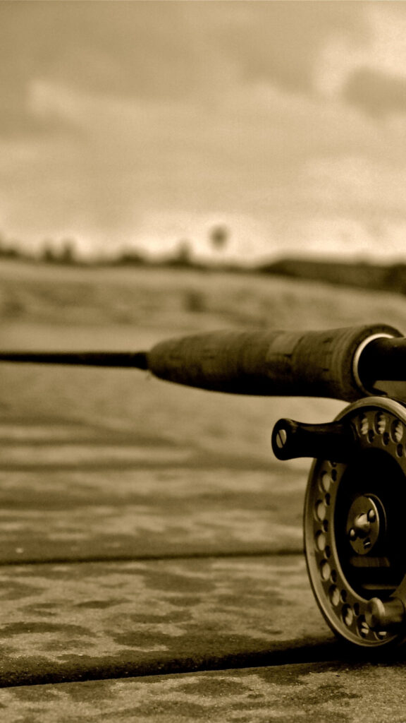 165210-1440x2560-samsung-hd-fishing-wallpaper-photo
