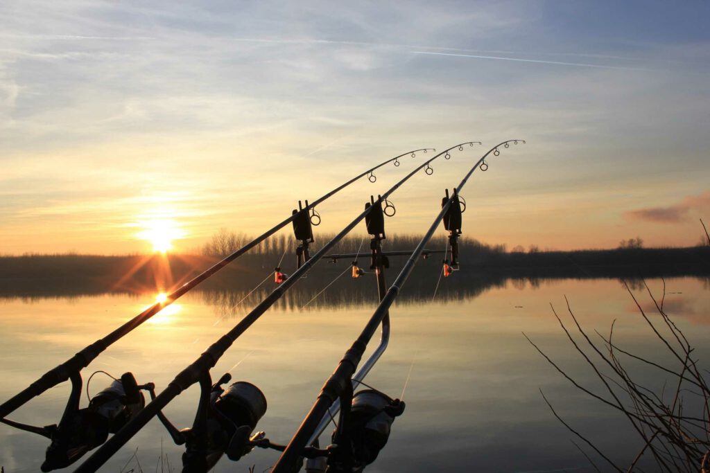 50101-2500x1667-desktop-hd-fishing-background-image